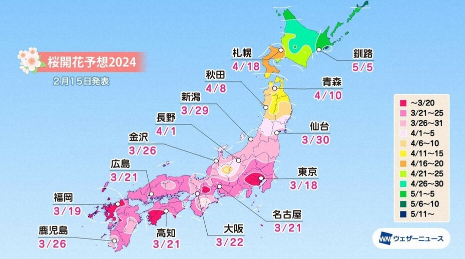 收藏篇！2024年日本樱花预测攻略
